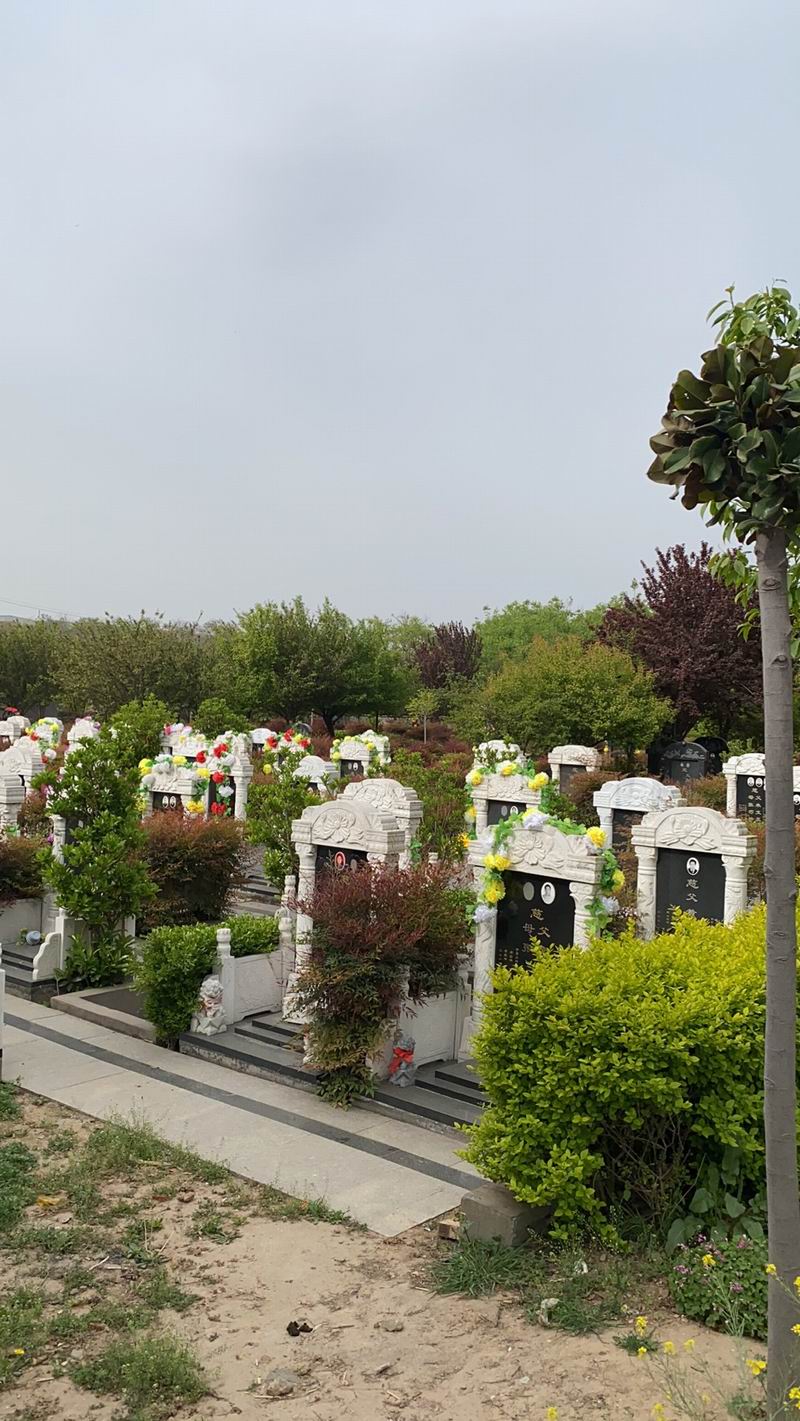 園區(qū)景觀(guān)